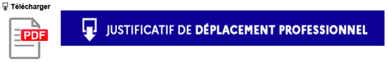 DEPLACEMENT PROFESSIONNEL