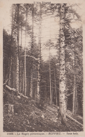 Ruffieu - Sous Bois