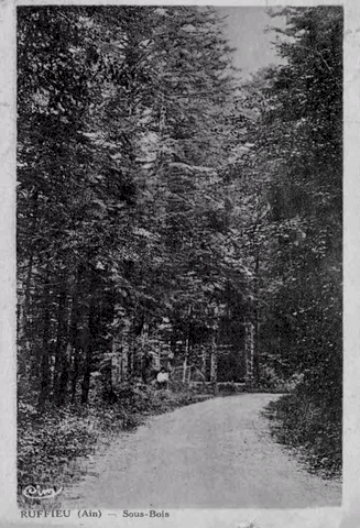 Ruffieu - Sous Bois